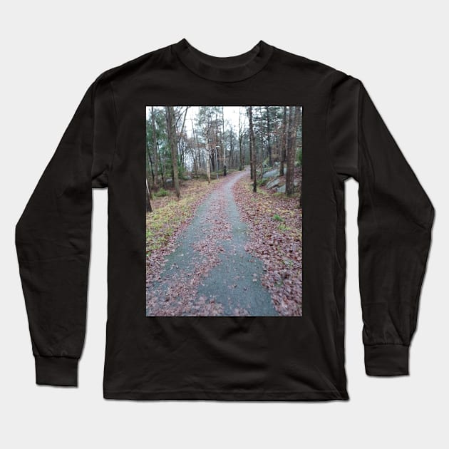 Crooked Road Long Sleeve T-Shirt by Alemway